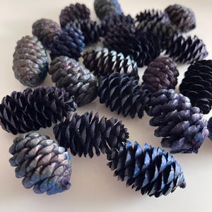 May include: A collection of decorative pine cones in shades of blue, purple, and silver. The pine cones have a textured, scale-like appearance and are arranged on a white surface. The cones vary in size and color, creating a visually interesting display.