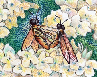 Fly Love - Insect Art- Bug Drawing - Hydrangeas - Color Pencil and Pen and Ink  5x7" Wall Decor