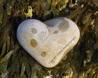 Heart Rock No. 6 Photo Card
