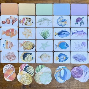 Cartes flash sur les poissons de récifs coralliens Correspondance des couleurs et des motifs | Téléchargement numérique instantané | Tri par couleur Montessori | Éducation à domicile et école maternelle