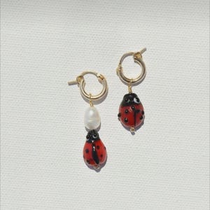 Può includere: Un paio di orecchini a cerchio dorati. Un orecchino presenta una perla bianca e un ciondolo a coccinella rossa con pois neri. L'altro orecchino ha un ciondolo a coccinella rossa con pois neri.