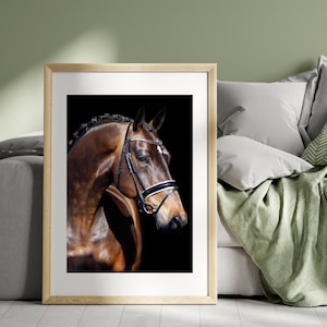 Elegant Horse Photography Printable Wall Art – Equestrian Decor – Instant Digital Download – Brown Horse Portrait Poster