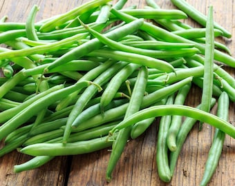 Tenderette Green Bean Seeds