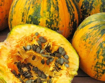 Kakai Hulless Pumpkin Seeds