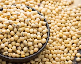 Yellow Soybean Seeds