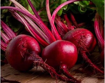 Ruby Queen Beet Seeds