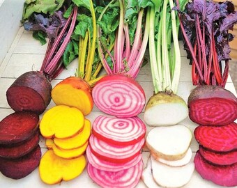 Rainbow Mix Seeds
