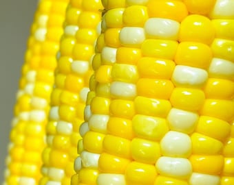 Providence TripleSweet Sweet Corn Seeds