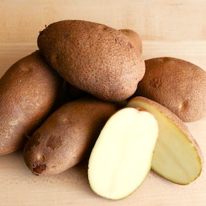 Russet Burbank Seed Potatoes - Bulbs For Planting