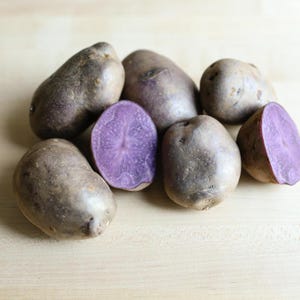 Adirondack Blue Seed Potatoes - Bulbs For Planting