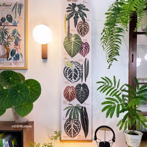 Può includere: Un arazzo botanico intitolato "Anthurium Mirage" presenta illustrazioni dettagliate di varie foglie di anthurium in tonalità di verde, rosso e nero. La stampa è esposta con aste di legno e una corda per appenderla. L'immagine è ambientata in una stanza con piante e una lampada.