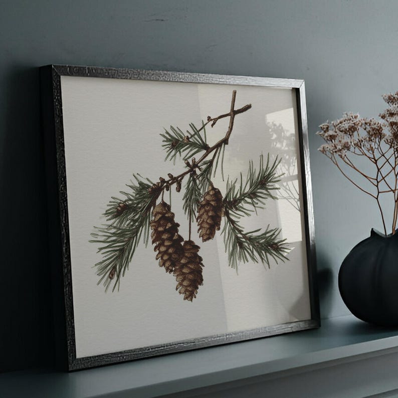 May include: A framed botanical print featuring a detailed illustration of pine cones and needles. The artwork is set against a neutral background and encased in a dark, textured frame. The print is displayed on a shelf with a dark vase.
