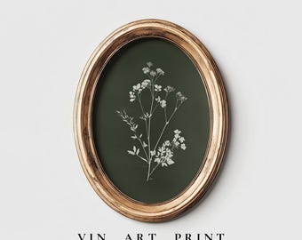 Vintage Herbarium Print | Antique Botanical Illustration (Digital Download)