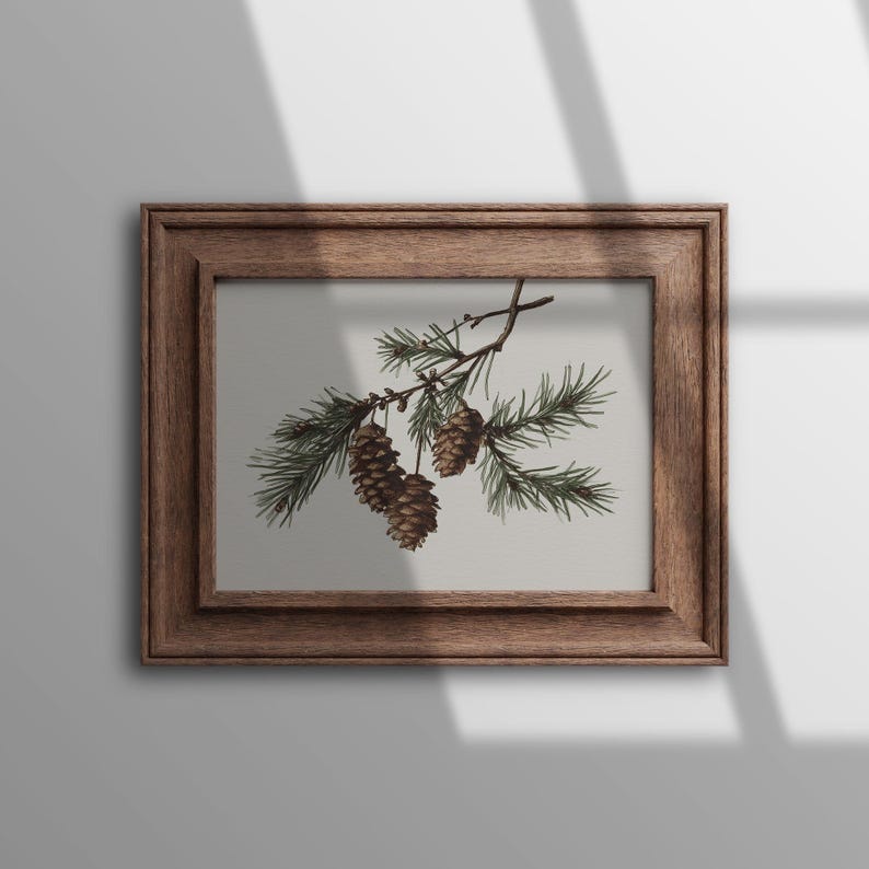 May include: A framed print featuring a detailed illustration of a pine branch with green needles and several brown pine cones. The frame is made of wood with a natural finish, adding a rustic touch to the artwork.