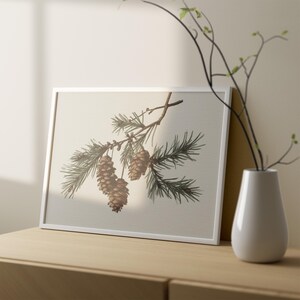 May include: A framed botanical print featuring a detailed illustration of a pine branch with pinecones and needles. The artwork is set in a white frame and rests on a wooden surface. A white vase with branches is next to the frame.
