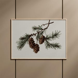 May include: A framed botanical print featuring a detailed illustration of a pine branch with green needles and three brown pine cones. The artwork is set against a light background, encased in a light wood frame.
