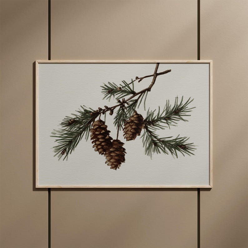 May include: A framed botanical print featuring a detailed illustration of a pine branch with green needles and three brown pine cones. The artwork is set against a light background, encased in a light wood frame.
