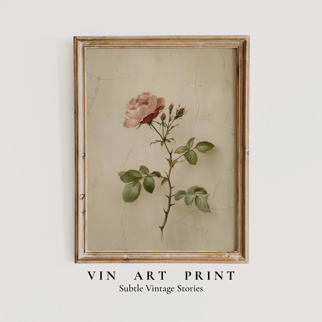 Vintage Rose Botanical Print – Antique Cottagecore Floral Art (digital ...