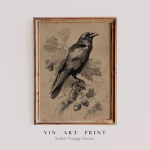 May include: A framed vintage art print featuring a detailed black and white illustration of a raven perched on a branch with leaves and acorns. The print has a sepia-toned background and the text "VIN ART PRINT" and "Subtle Vintage Stories".