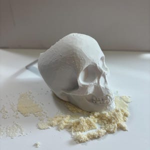 Skull Protein Scoop 30g (3D-geprint)