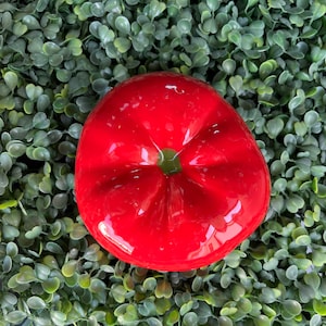 Tomato Bowl