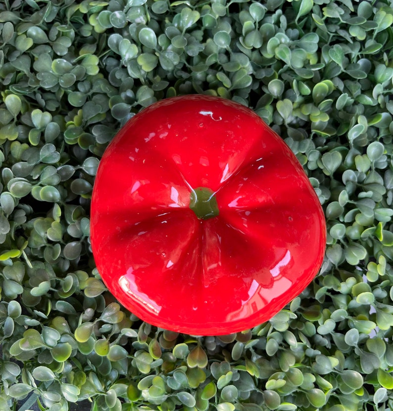 Tomato Bowl image 1