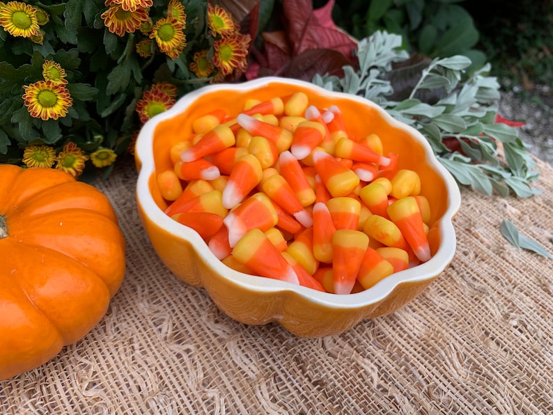 Small Pumpkin Bowl image 1