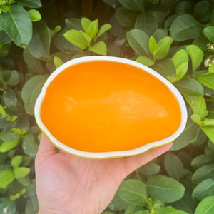 Mango Bowl