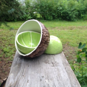 Lime & Coconut Bowl pair image 5