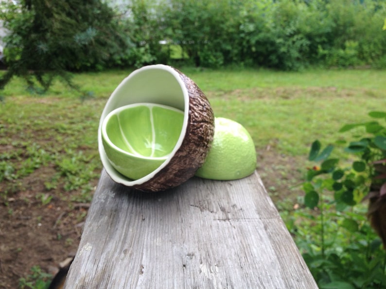 Lime & Coconut Bowl pair image 5