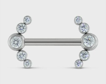 Nipple Bars- 14/12 Gauge Threadless Titanium