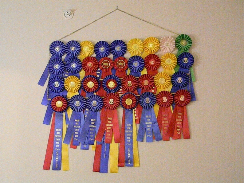 Custom Equestrian Hanging Ribbon Rack 4 ROWS Holds up to 36 Ribbons Etsy