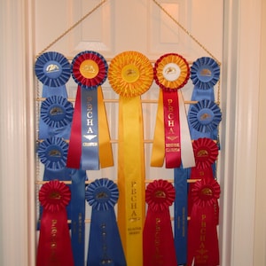 Custom Equestrian Hanging Ribbon Rack Door Size 22&quot; wide