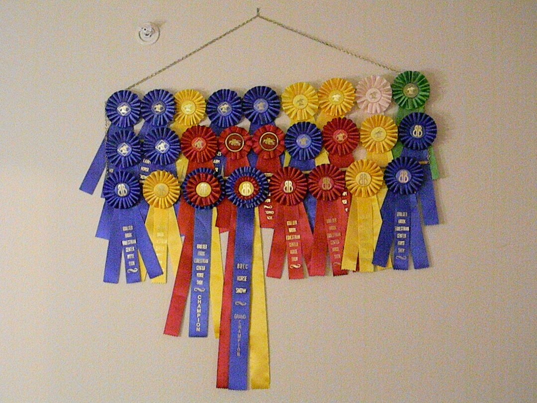 27 Ribbon Rack Custom Equestrian Hanging Ribbon Rack - 3 ROWS - Holds up to 27 Ribbons ...