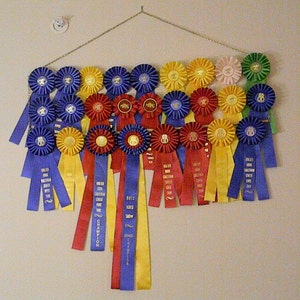 Custom Equestrian Hanging Ribbon Rack - 3 ROWS - holds up to 27 ribbons