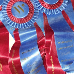 May include: Close-up of equestrian award ribbons. The ribbons are blue and red, with gold text that reads "Wellington International" and "Winter Equestrian Festival". The rosettes are blue and red with a gold "W" design.