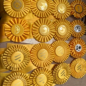 3rd Place Wellington International, WEC, Palm Beach Horseman's Association, IEA, Tryon, Schooling Horse Show Yellow Ribbons