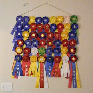 Custom Equestrian Hanging Ribbon Rack - 6 ROWS - holds up to 54 ribbons