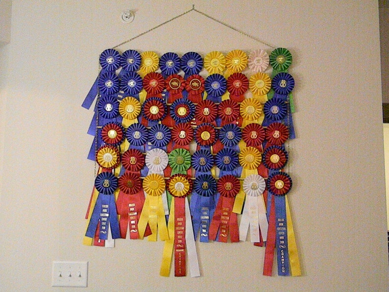 Custom Equestrian Hanging Ribbon Rack 6 ROWS Holds up to 54 Ribbons Etsy