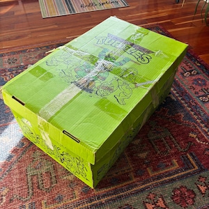 May include: A large, bright green box featuring the Teenage Mutant Ninja Turtles. The box has illustrations of the turtles and the word "Turtles" in a stylized font. The box is sealed with clear tape and sits on a patterned rug.