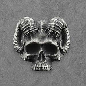 May include: A detailed, silver-colored skull pendant with large, curved horns. The skull has hollow eye sockets and a detailed jawline. The horns are ridged, and the overall design has a gothic or fantasy theme.