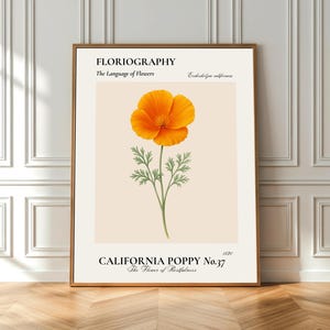 California Poppy Botanical Print | Digital Download | Floriography Art | Vintage Flower Wall Art | Printable Botanical Poster