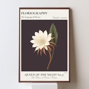 Queen of the Night – Moonlight Collection | Rare Nocturnal Flower Printable Wall Art | Vintage Botanical Poster