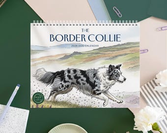 May include: A spiral-bound calendar featuring a watercolor illustration of a Border Collie dog running through a field. The calendar's title, "THE BORDER COLLIE," is displayed above the image, with the year "2026 DOG CALENDAR" below.