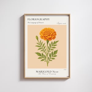 Stampa floreale di Calendula per la nascita di ottobre / Poster botanico vintage / Il fiore della creatività, del calore e della luce / Regalo di compleanno da parete