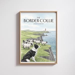 May include: A framed print featuring a black and white Border Collie dog watching over a flock of sheep on a green cliffside. The print includes the text "THE BORDER COLLIE" and "DOGS OF CHARACTER" above the illustration.
