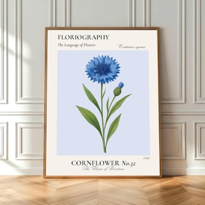 Cornflower Wall Art Print | Vintage Botanical Poster | Signature Floral Collection | Digital Download | Blue Wildflower Home Decor