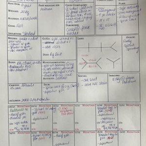 Nurse Report Sheet mit stündlichen Rundungen: RN-Übergabenotizen zum ausdrucken (digitaler Download)