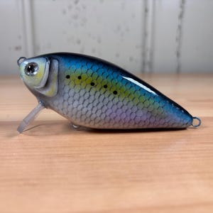 shallow-diving crankbait