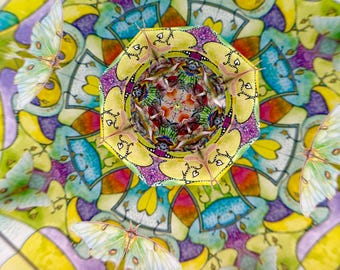Luna Moth Limited Edition Kaleidoskop